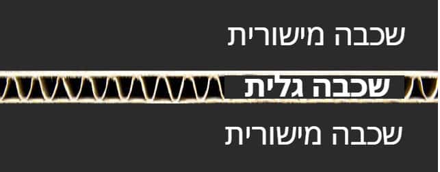 מבנה הקרטון